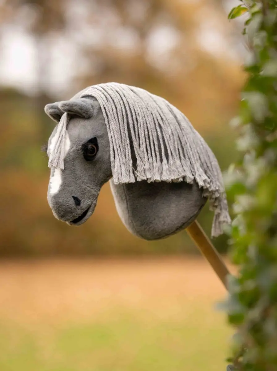 LeMieux Hobby Horse Mini Smokey - afbeelding 3 van 3