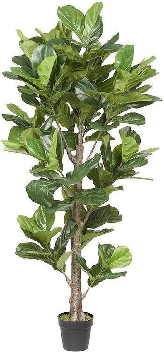 Noach Outdoor Ficus lyrata Kunst Vioolbladplant