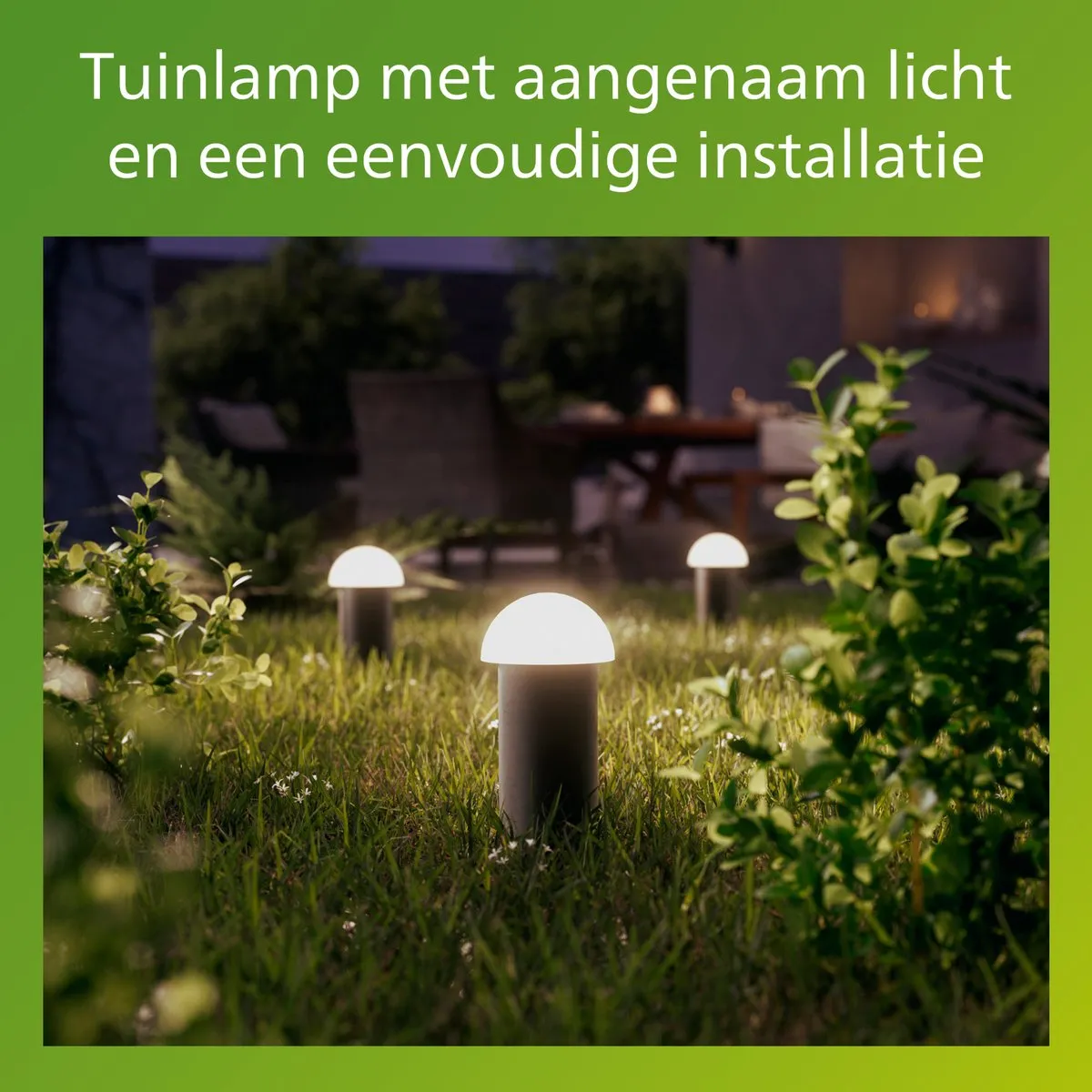 Philips Edwina GardenLink Sokkellamp 24V - Zwart