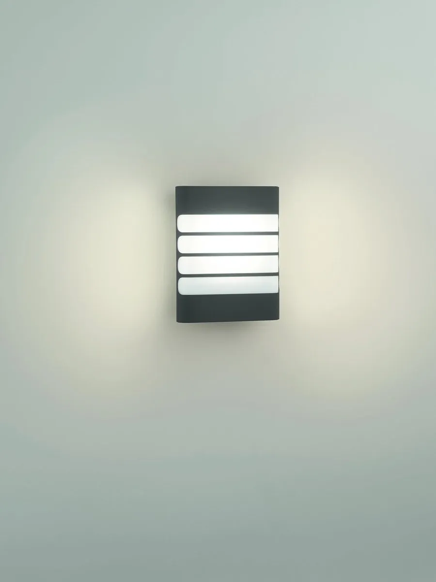Philips myGarden Raccoon Wandlamp Antraciet