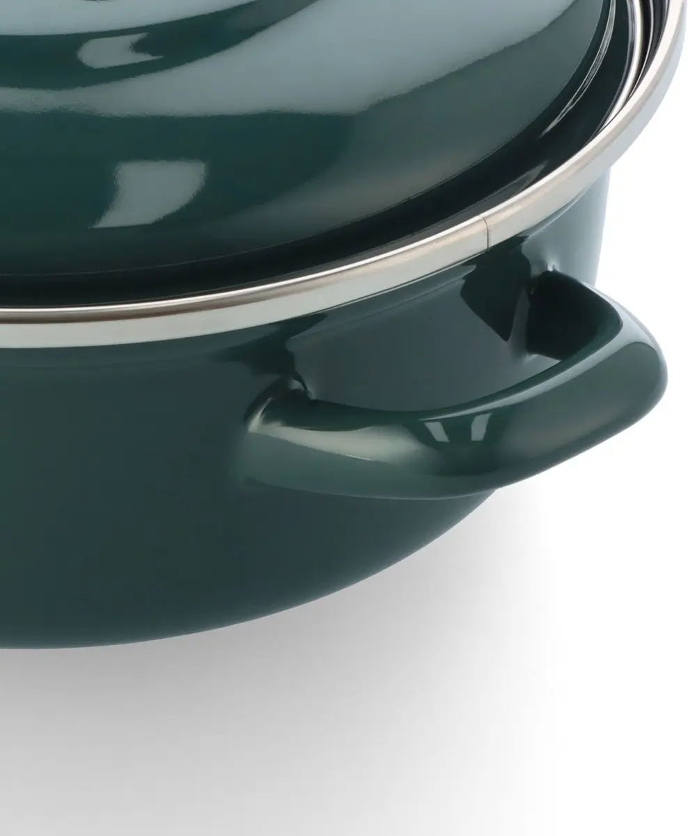BK Fortalit Braadpan 24cm - 2.5L - Groen