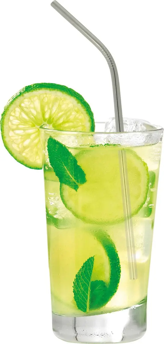 Metaltex Drinkrietjes Inox 5-delig - Gebogen - met Borstel