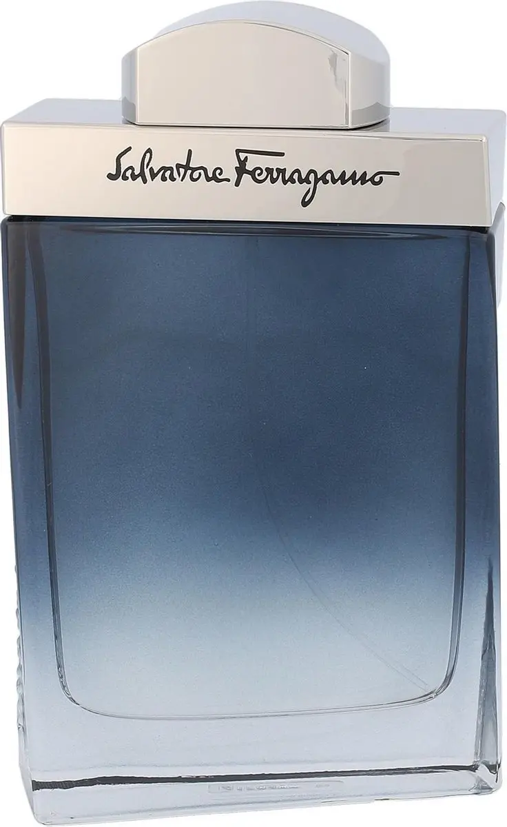 Salvatore Ferragamo Subtil Pour Homme EDT