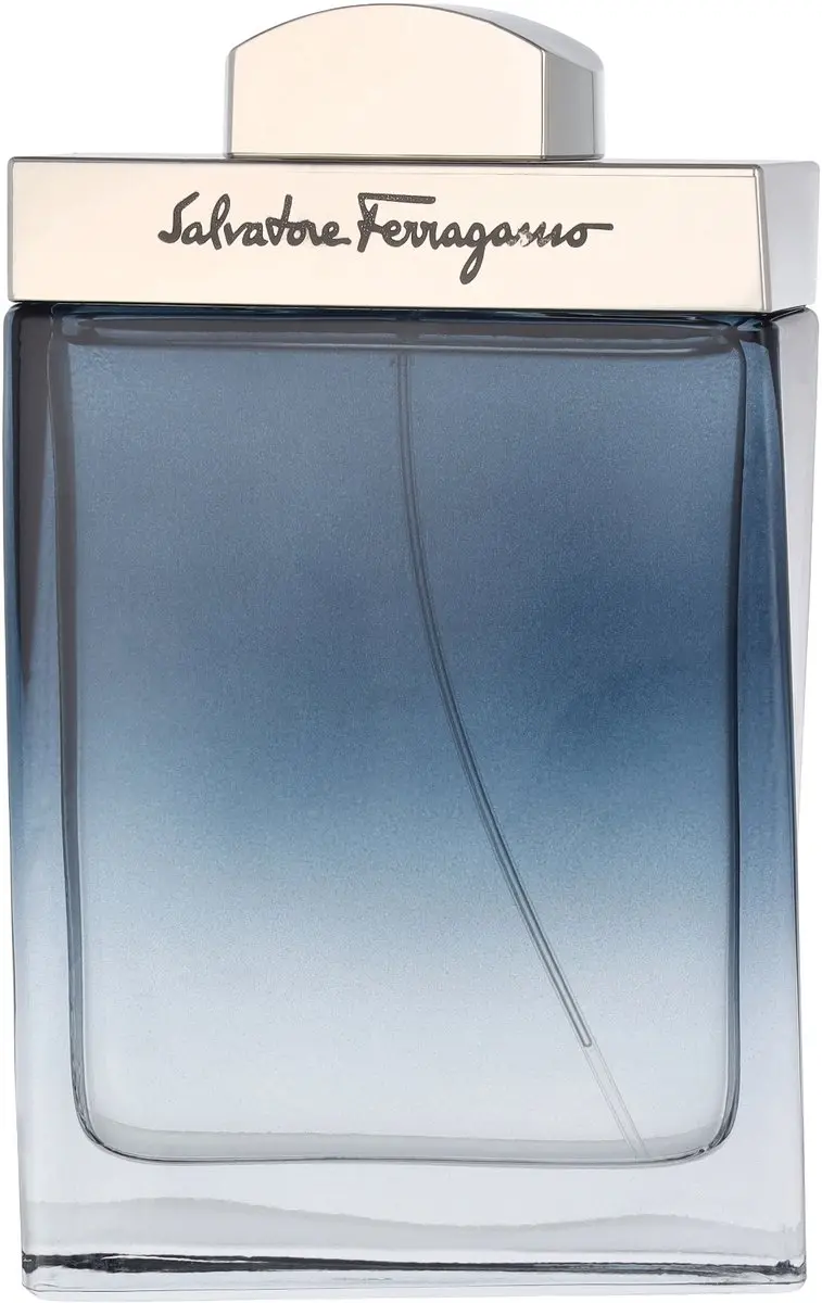 Salvatore Ferragamo Subtil Pour Homme EDT - 100ml