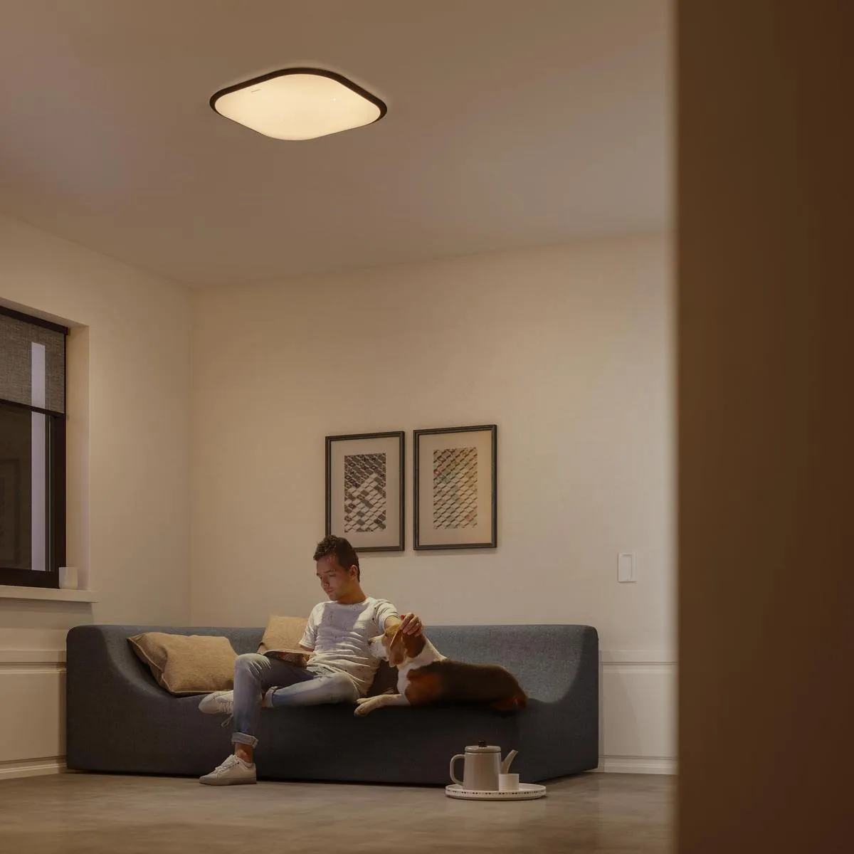 Philips Cavanal Plafondlamp - 38cm - Warmwit