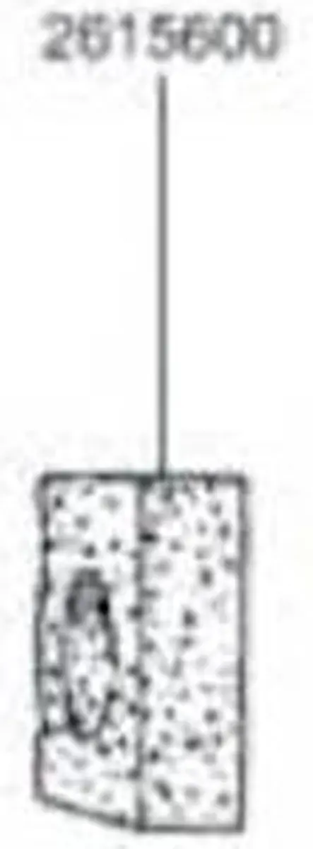 Eheim Groffilter voor 1060/3160/1260/1262 2 Stuks