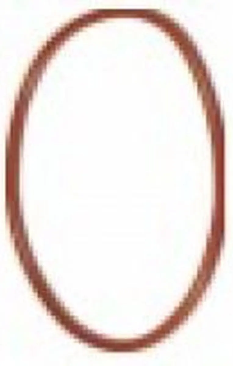 Eheim O-Ring voor 2017/2117/2217/2317