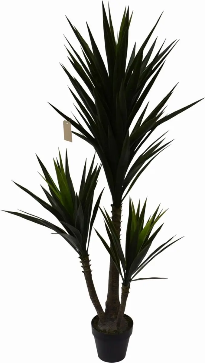 Noach Outdoor Kunst Palmlie Yucca 160cm