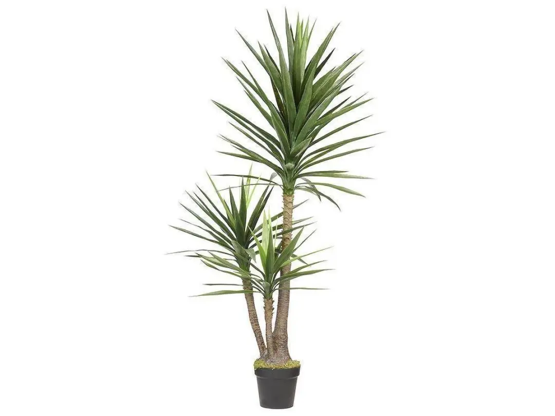 Noach Outdoor Kunst Palmlie Yucca 160cm - Groen - afbeelding 2 van 3