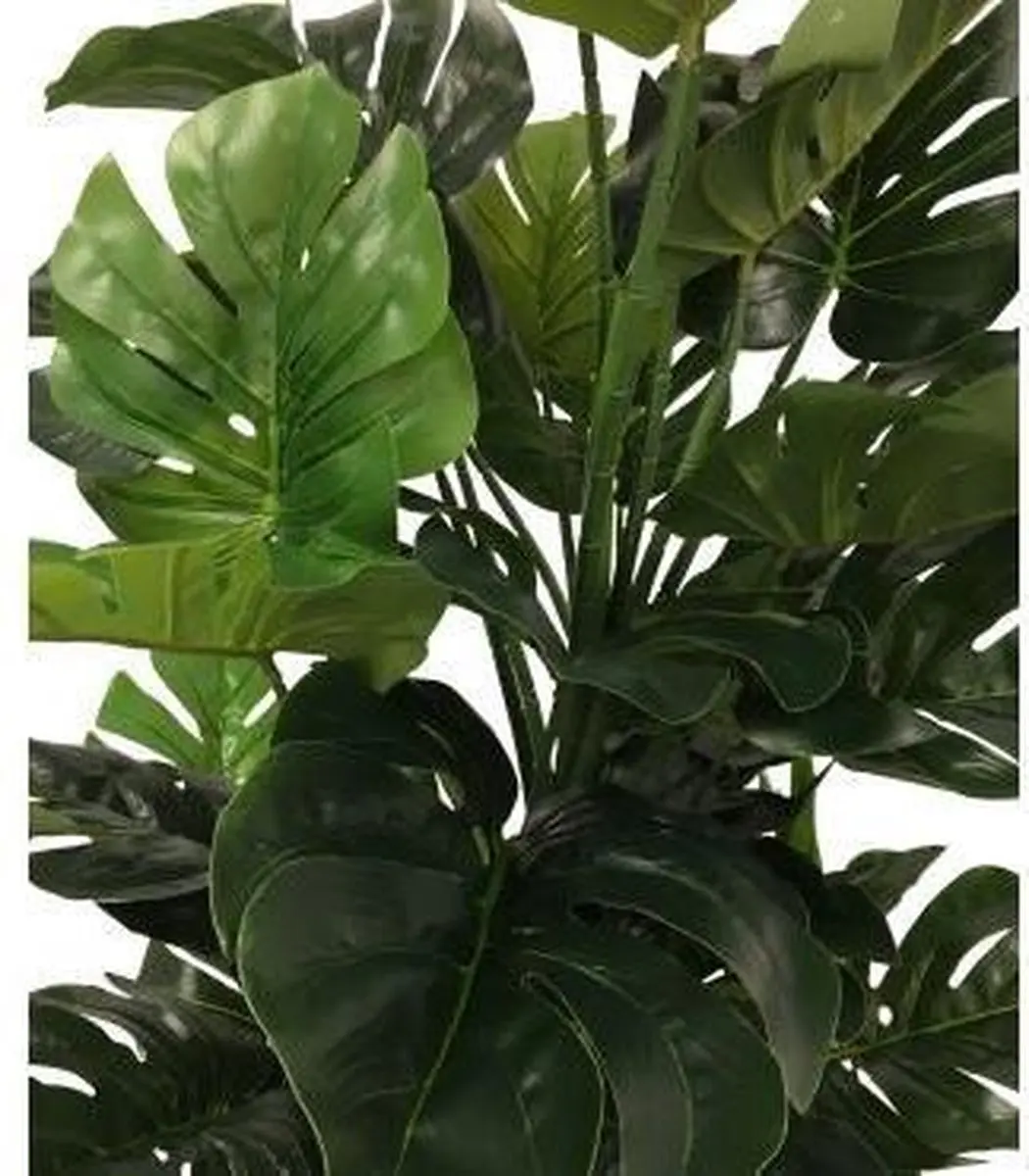 Noach Outdoor Monstera Pot 140cm - Groen - afbeelding 2 van 4