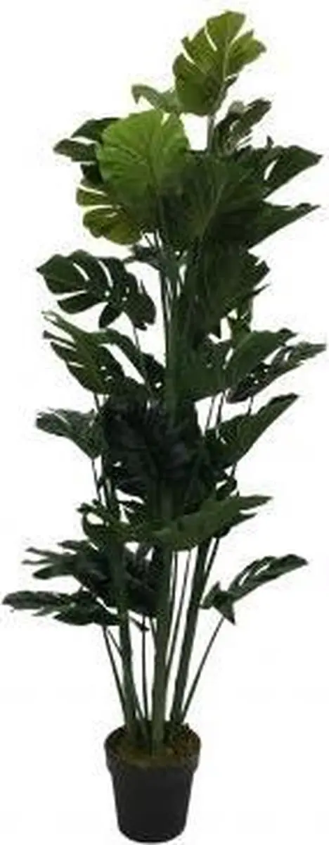 Noach Outdoor Monstera Pot 140cm - Groen - afbeelding 4 van 4