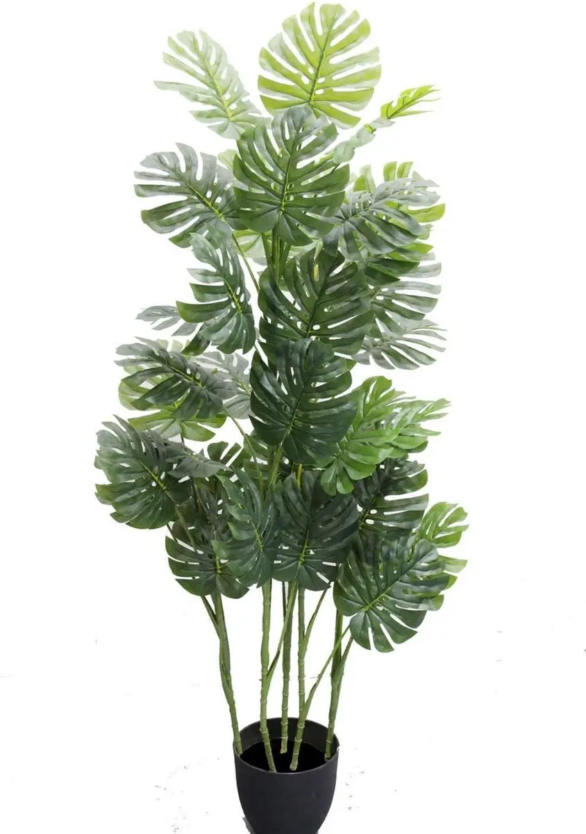 Noach Outdoor Monstera Pot 140cm