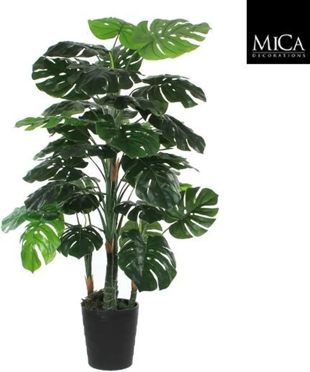 Noach Outdoor Monstera Pot 140cm - Groen - afbeelding 3 van 4