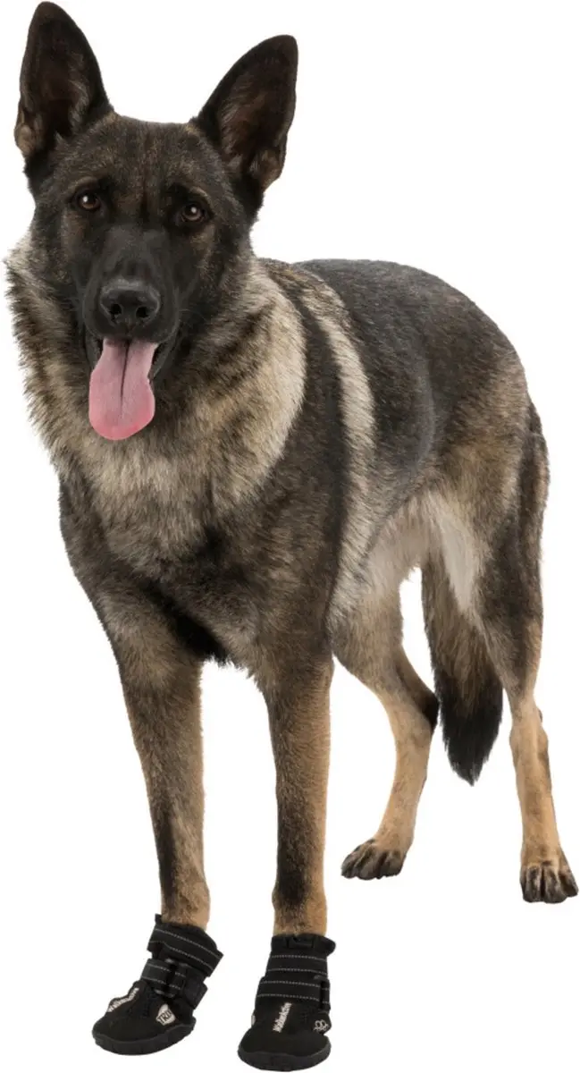Trixie Walker Active Hondenschoen M - Zwart - afbeelding 2 van 6