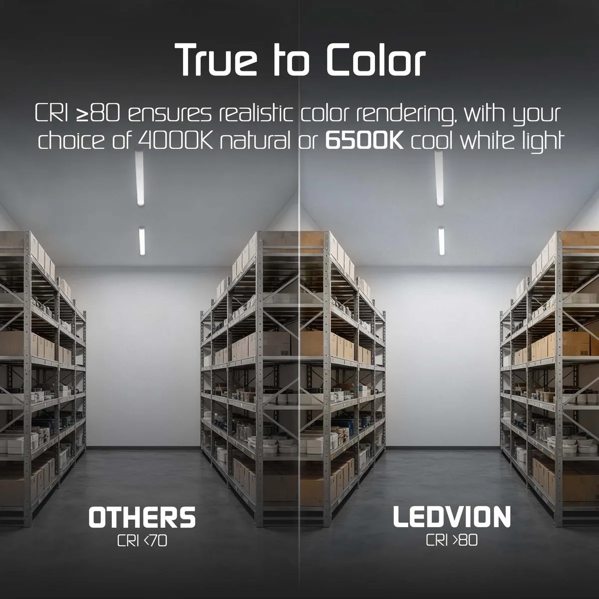 LEDVION 2x LED Armatuur 60cm 15W 6500K - Wit