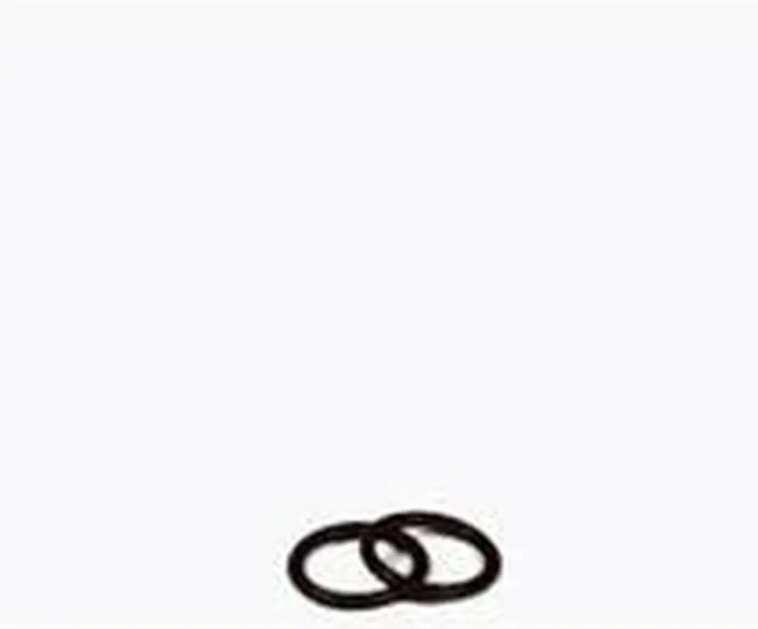 Eheim O-Ring voor 2211-17/2313-17/4006410-4007510