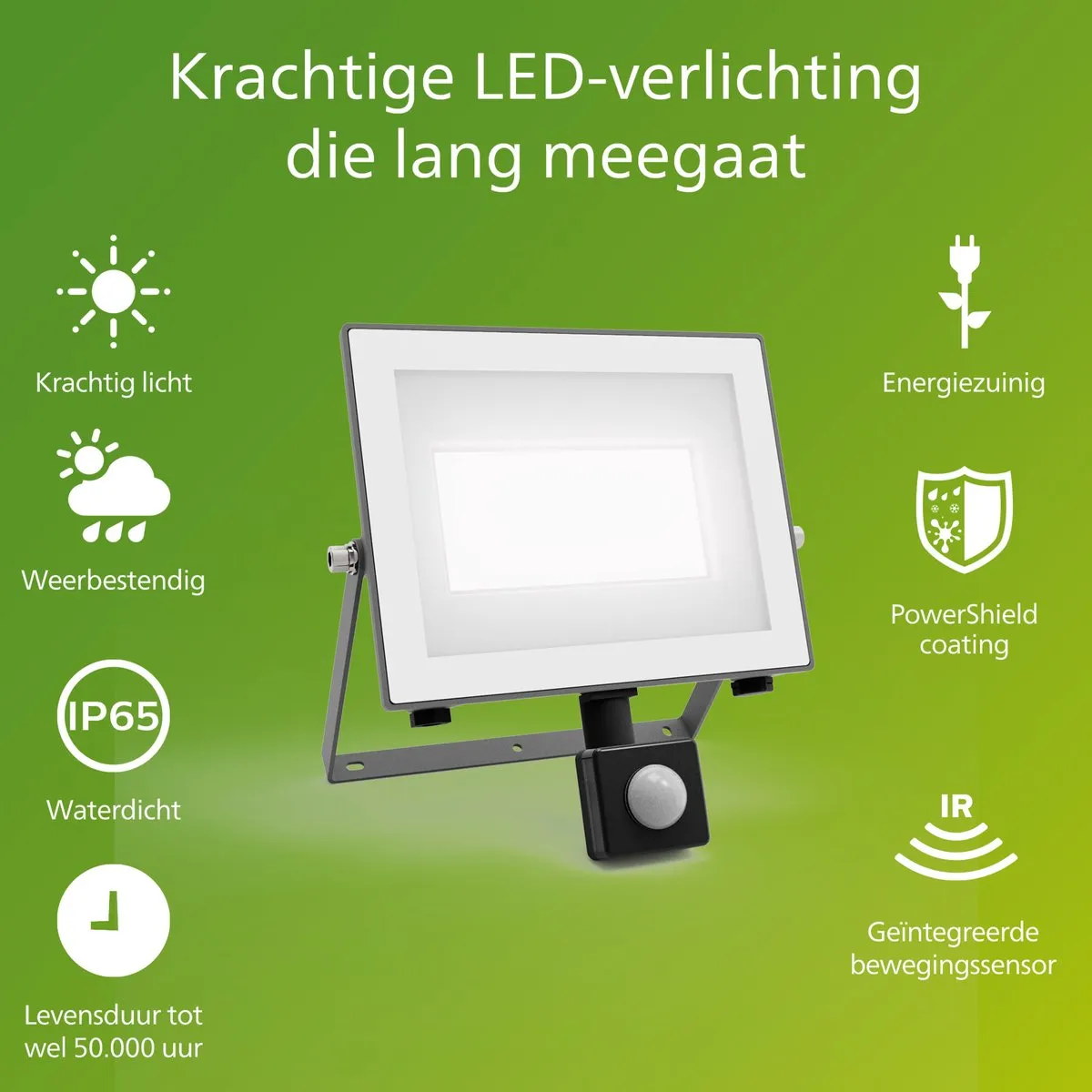 Philips Lois UltraEfficient Floodlight 24W - Koelwit 5000K - Zwart