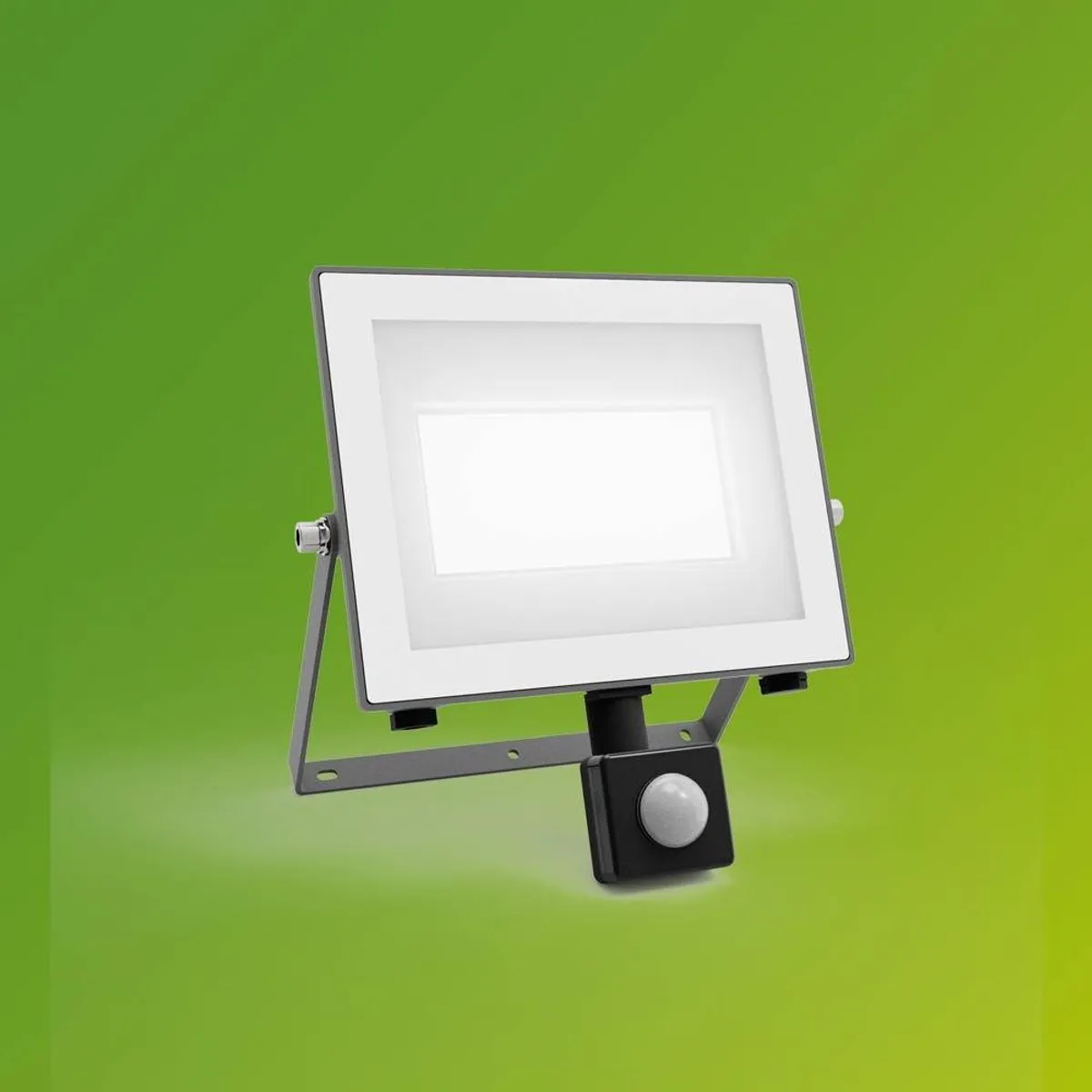 Philips Lois UltraEfficient Floodlight 24W - Koelwit 5000K - Zwart