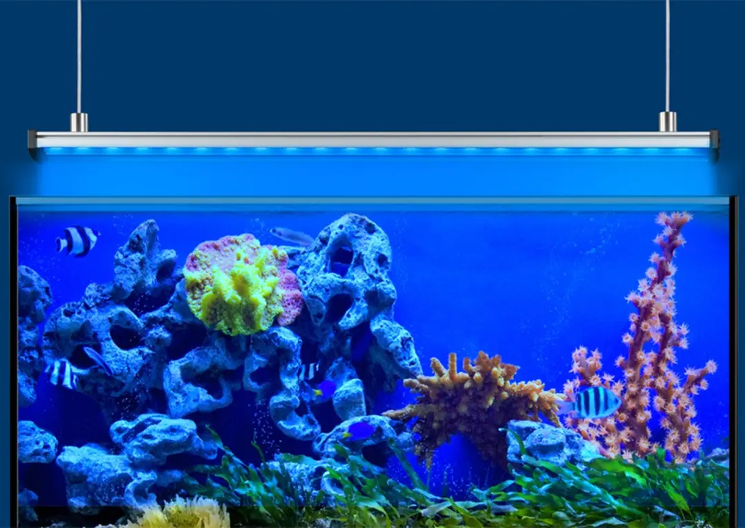 Eheim Ophangsysteem Powerled+ - Blauw