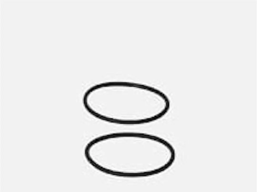 Eheim O-Ring 46X2MM voor 1048/3148