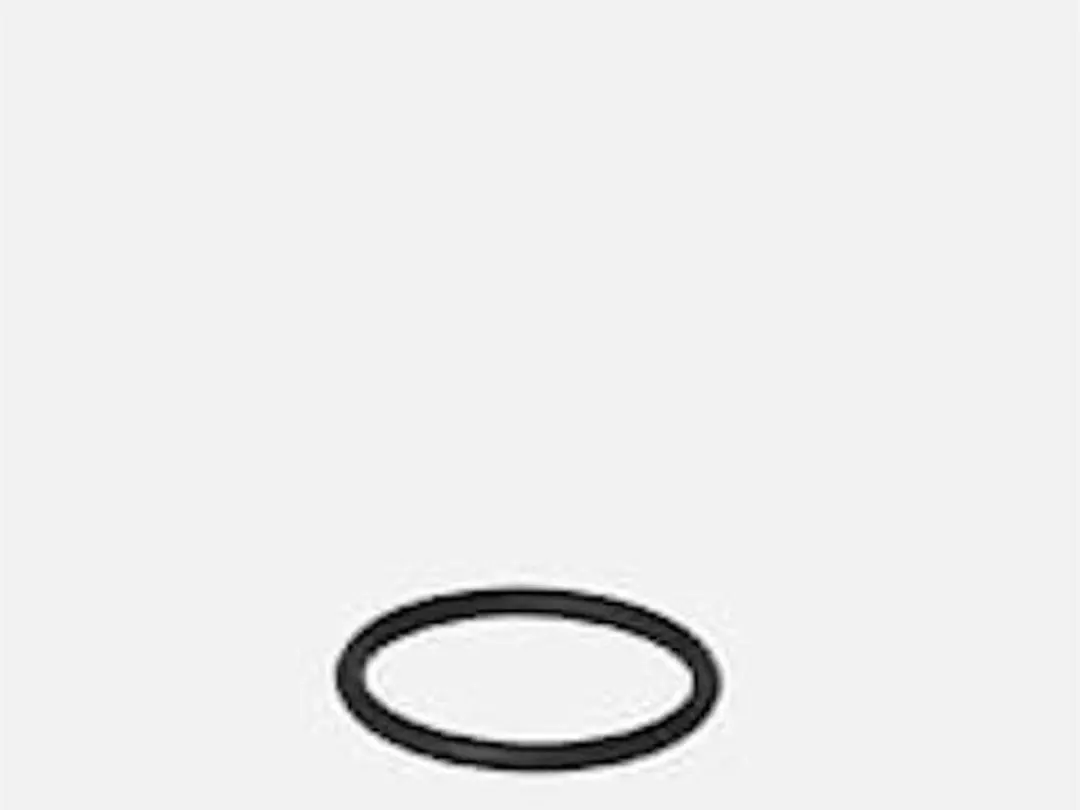 Eheim O-Ring 27X2.5MM voor 2030/34-2250/60
