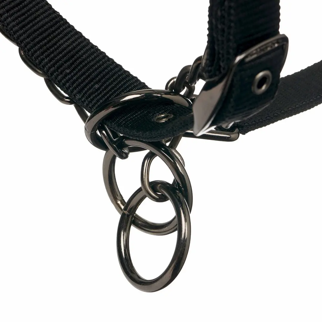 Lemieux Pro-safe Halster X-Full - Zwart - afbeelding 6 van 6