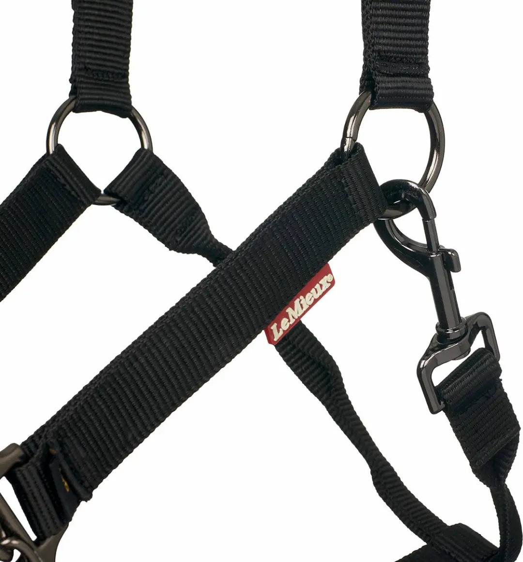 Lemieux Pro-safe Halster X-Full - Zwart