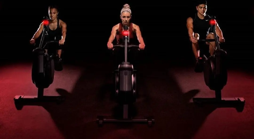 Life Fitness Heat Row Roeitrainer - LCD Console - 8 Programma's