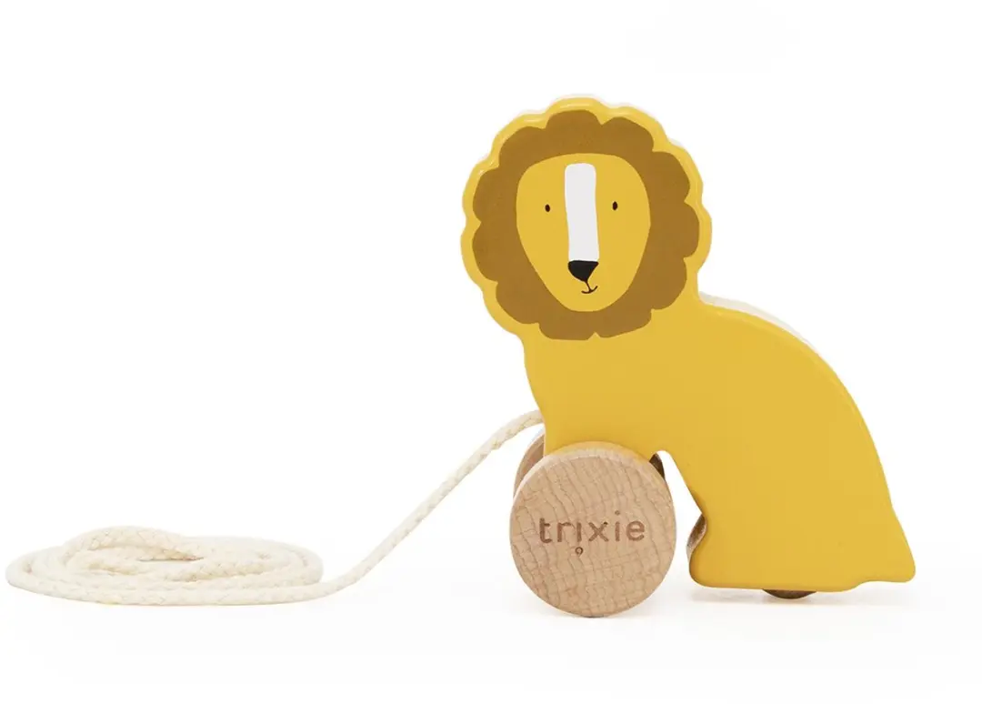 Trixie Klein Houten Trekspeeltje Mr. Lion