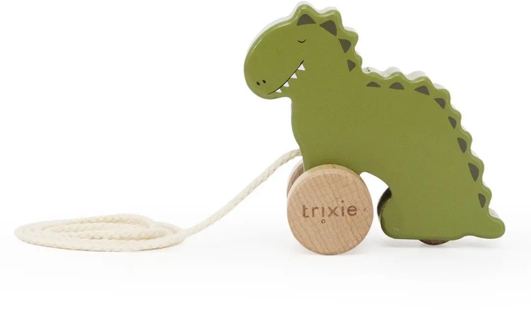 Trixie Klein Houten Trekspeeltje Mr. Dino