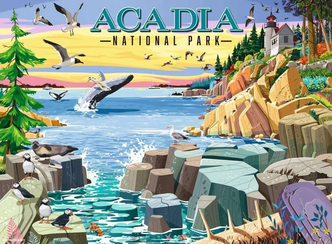 Ravensburger Acadia National Park Legpuzzel 500 Stuks - Songbirds