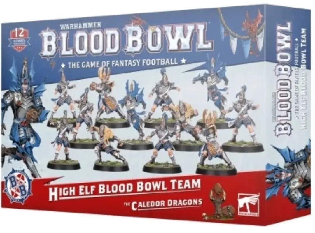 Games Workshop Warhammer Dark Elf Blood Bowl Team