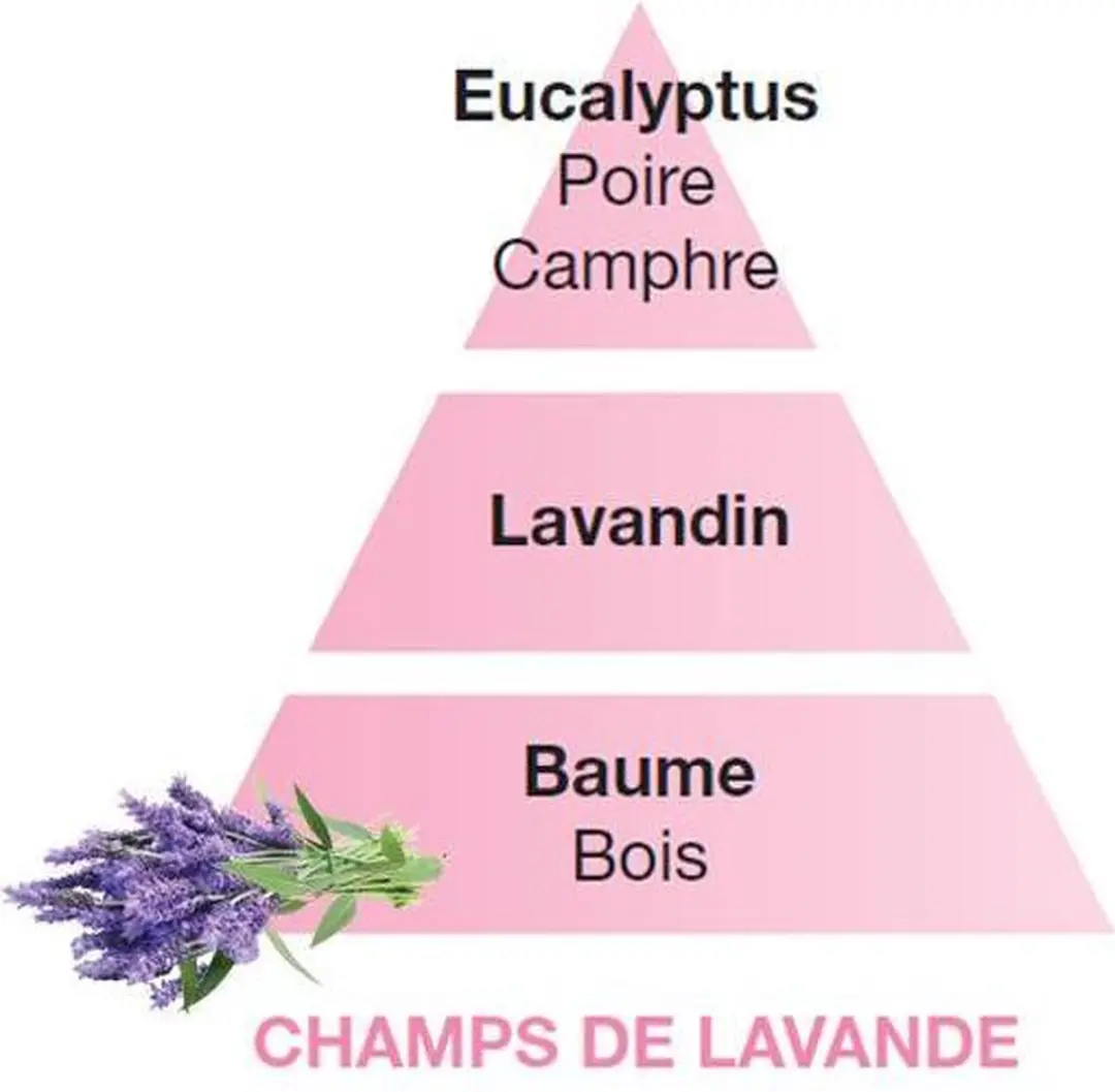 Maison Berger Lavender Fields Huisparfum 500ml - Multi - afbeelding 2 van 5