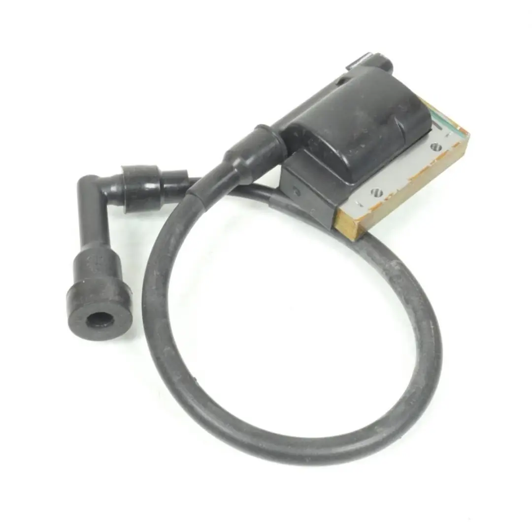 Bobine d'allumage HT pour scooter Peugeot 125 Geopolis 1178392300 390-015 Neuf