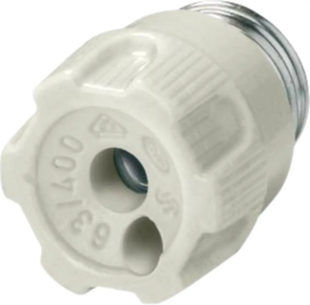 Siemens 5SH4317 NEOZED Schroefdop Porzellan D01