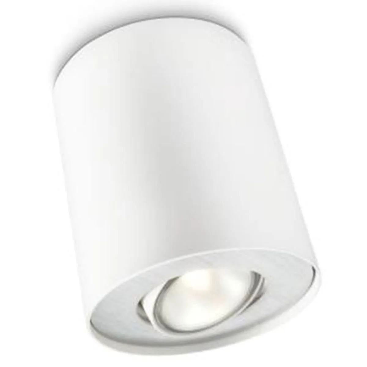 Philips Pillar Opbouwspot 1-lichts