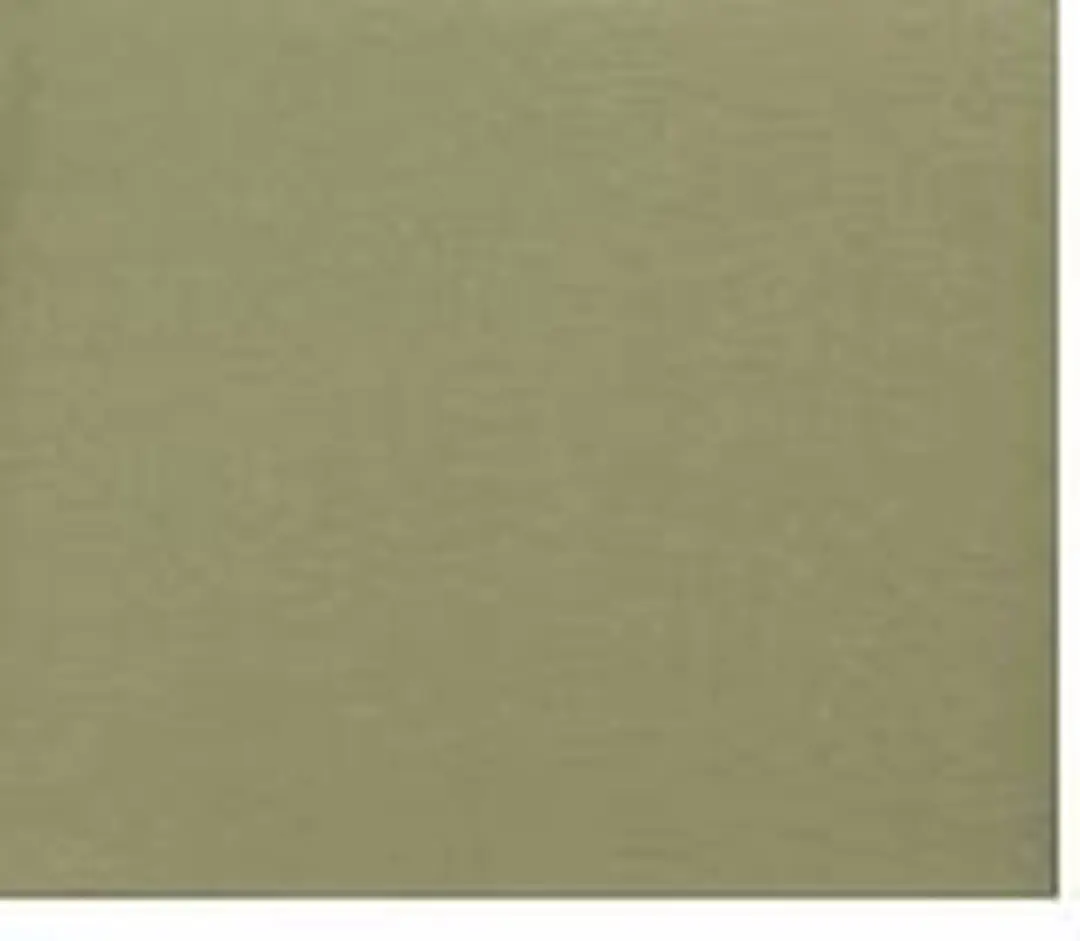 Madison Sierkussen Panama Sage 45x45cm - afbeelding 3 van 4