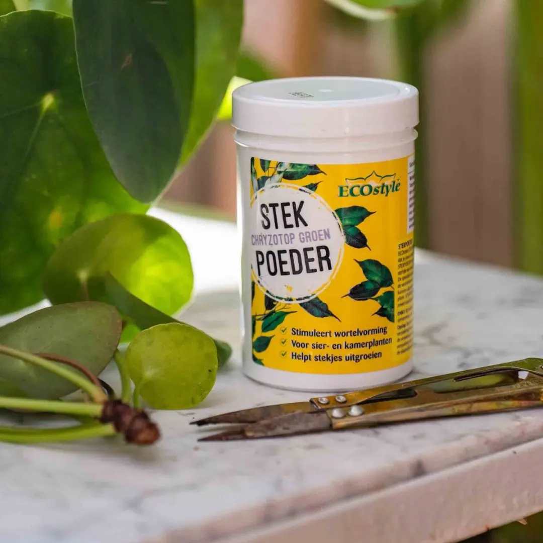 ECOstyle Stekpoeder 25g - Voor planten - afbeelding 5 van 5