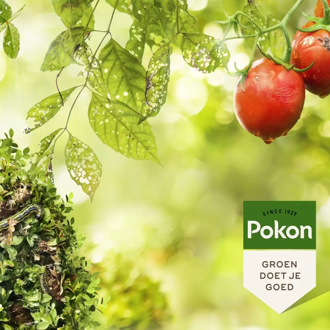 Pokon Bio Tegen Insecten Concentraat 200ml - afbeelding 3 van 5