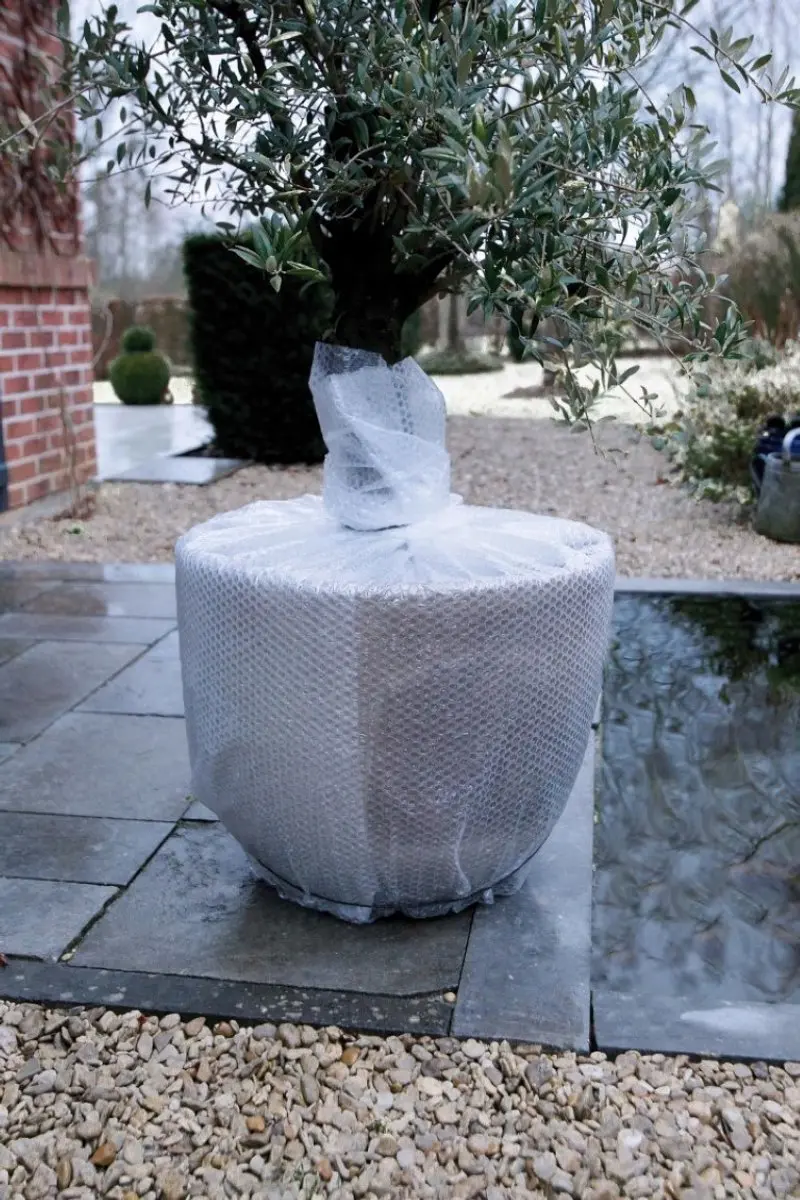 Nature Winternoppenfolie Ø10mm - 1x3m - afbeelding 4 van 4
