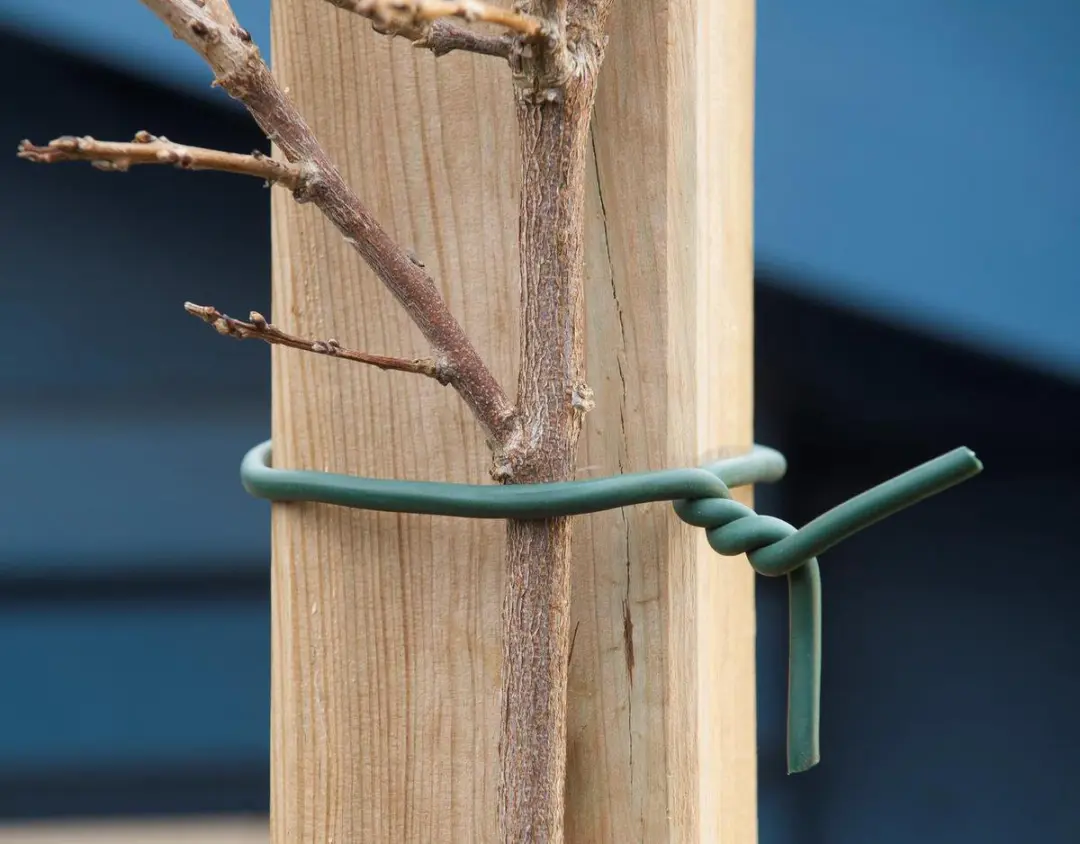 Nature Rubberband met Draad 10m - Groen - afbeelding 4 van 5