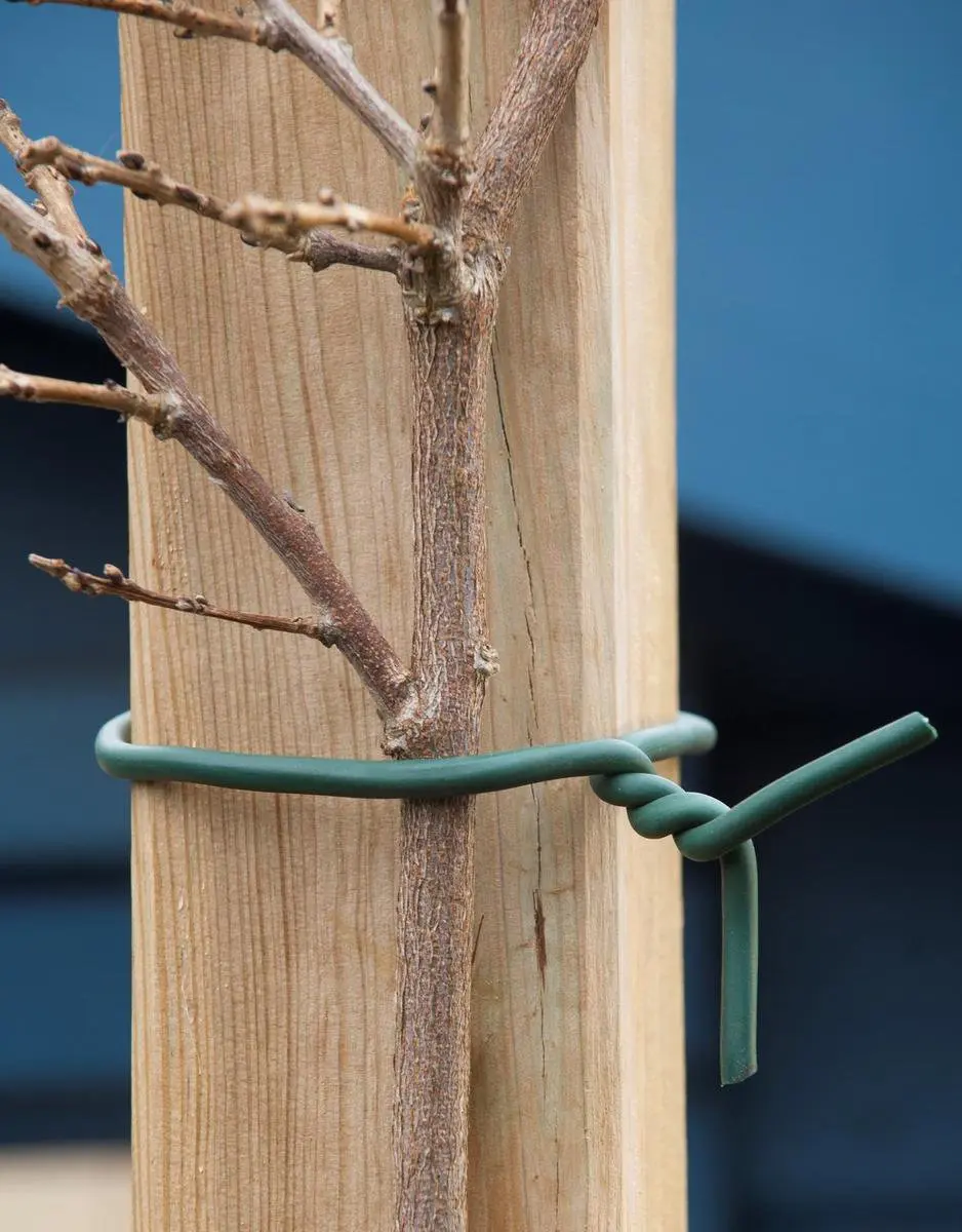 Nature Rubberband met Draad 10m - Groen - afbeelding 3 van 5