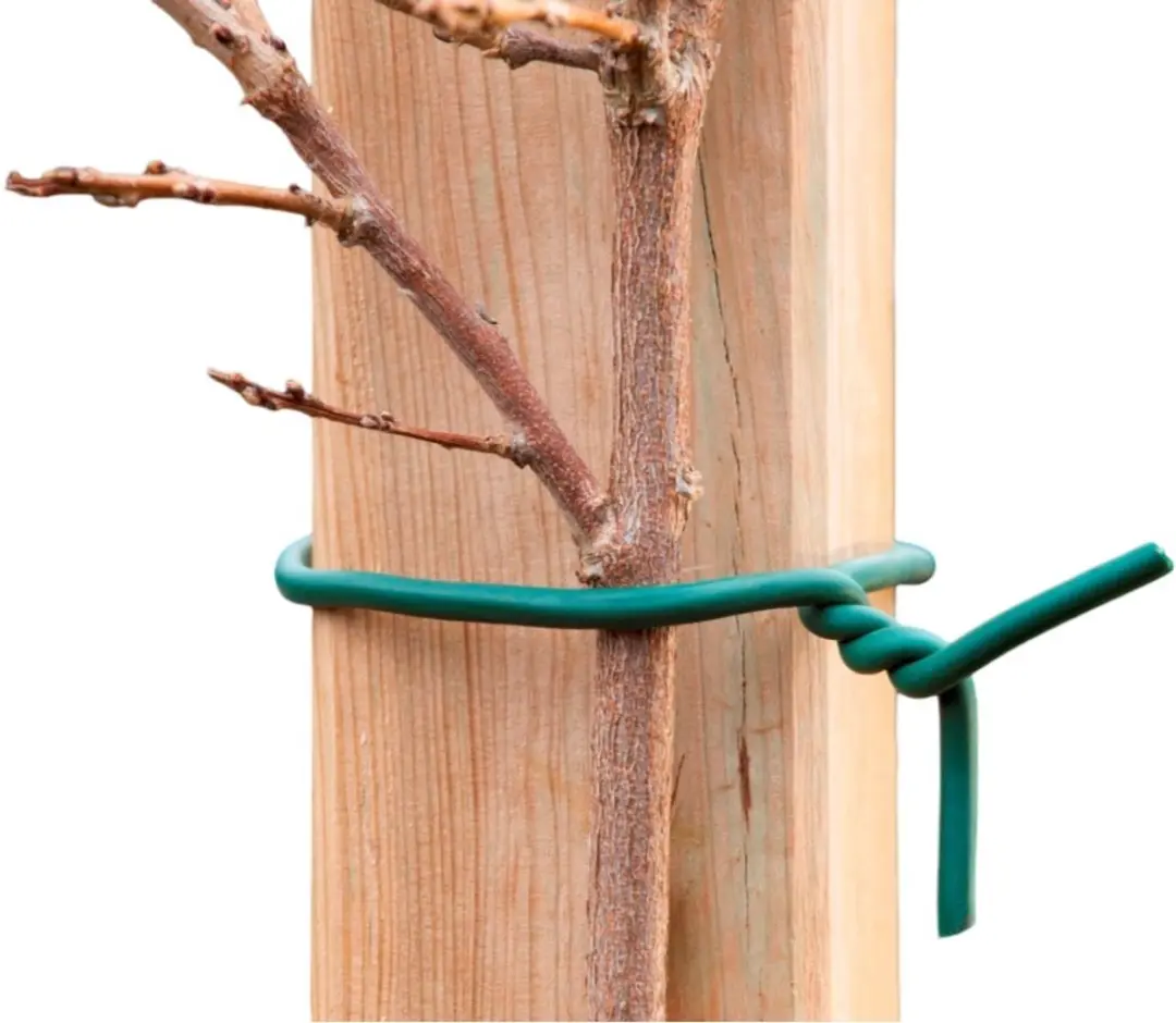 Nature Rubberband met Draad 10m - Groen - afbeelding 5 van 5