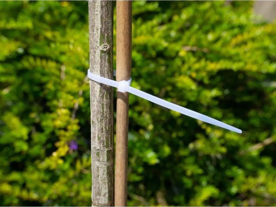 Nature Kabelbinders 30cm Transparant - 25 Stuks - afbeelding 2 van 3