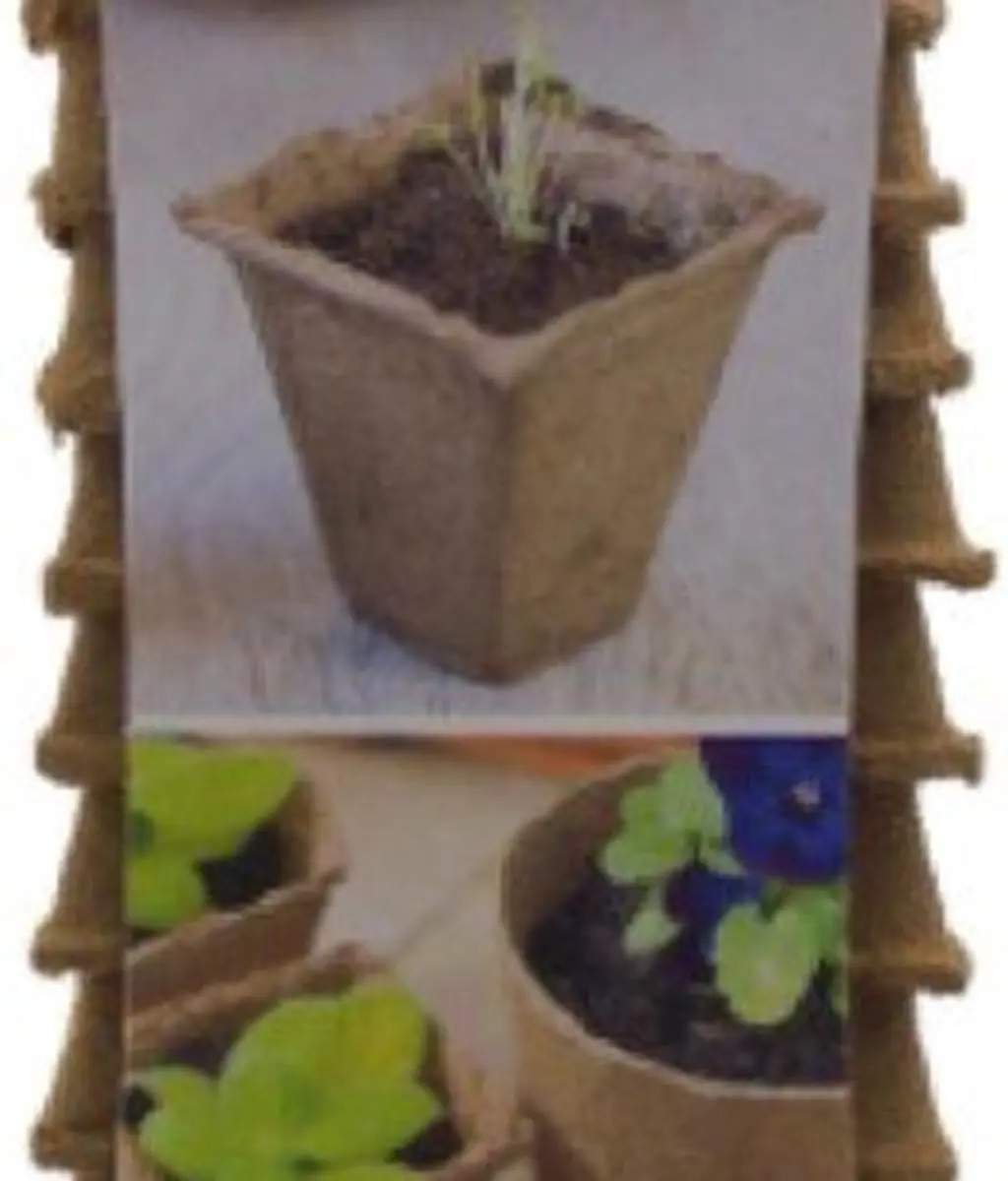 Nature Biopot 8x8cm Stekpotjes - 14 Stuks - afbeelding 5 van 5