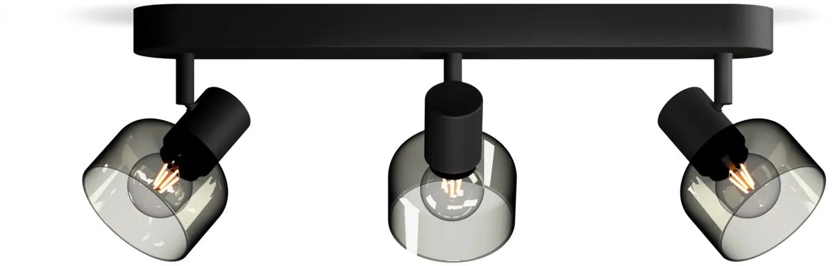 Philips Sleet Spot Plafondspot 3x25W - Zwart