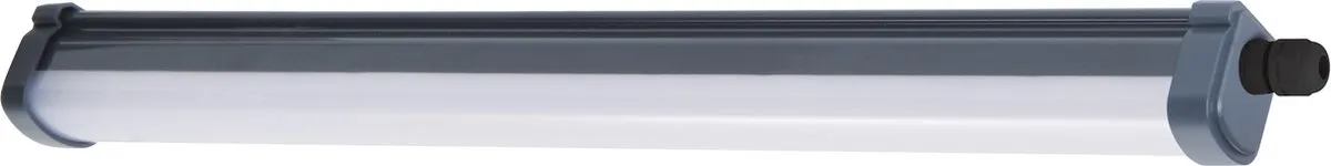 Philips ProjectLine Waterproof Buislamp 1700lm Wit
