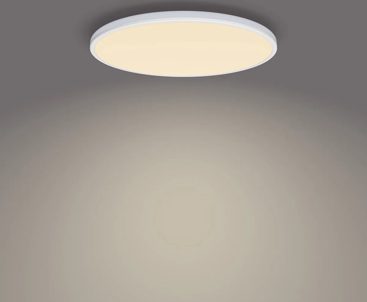 Philips Ozziet Plafondlamp 22W - 40cm - Warm Wit - afbeelding 6 van 6