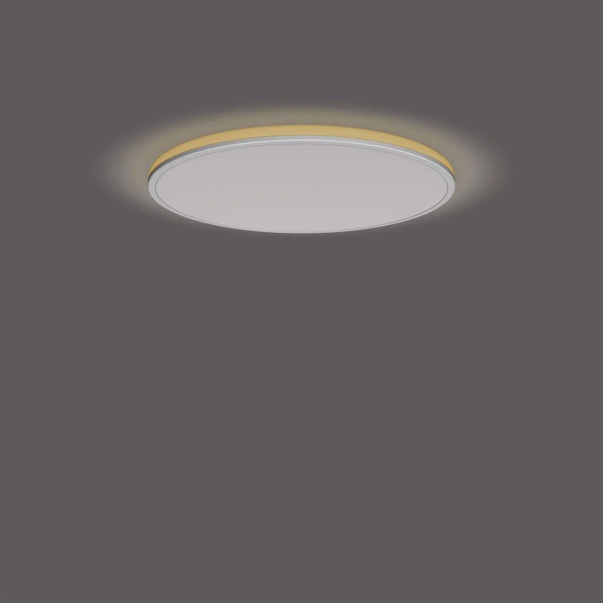 Philips Ozziet Plafondlamp 22W - 40cm - Warm Wit