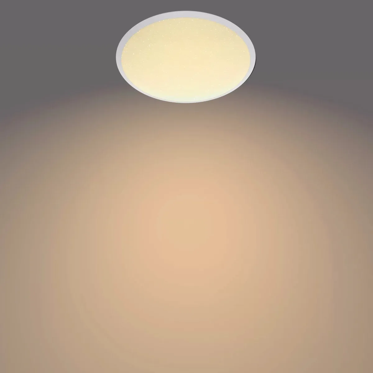 Philips Cavanal Plafondlamp 12W - Ø25cm - Badkamer